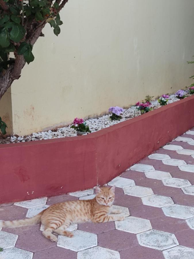 Hotel Takis Agios Georgios  外观 照片